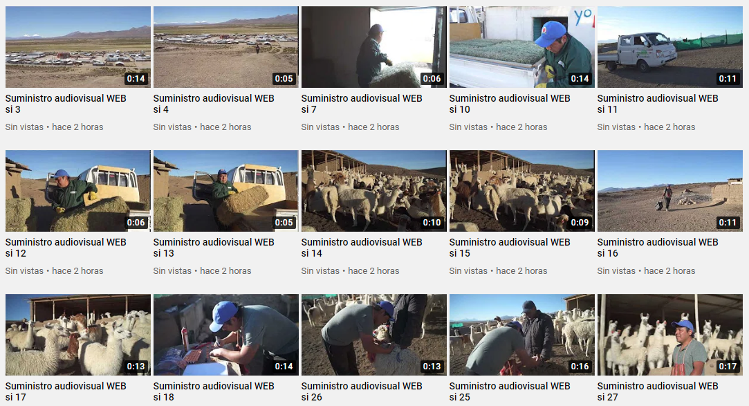 Videos galeria