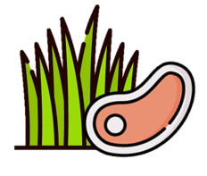 icono3
